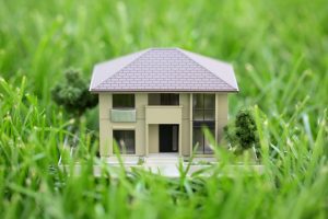 Как выбрать земельный участок для строительства дома: практическое руководство